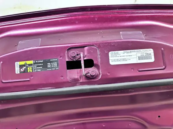 OEM 2015 2016 2017 2018 2019 2020 2021 2022 2023 DODGE CHALLENGER FRONT HOOD - Image 14