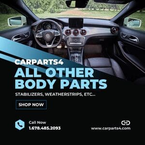 Other Body Parts